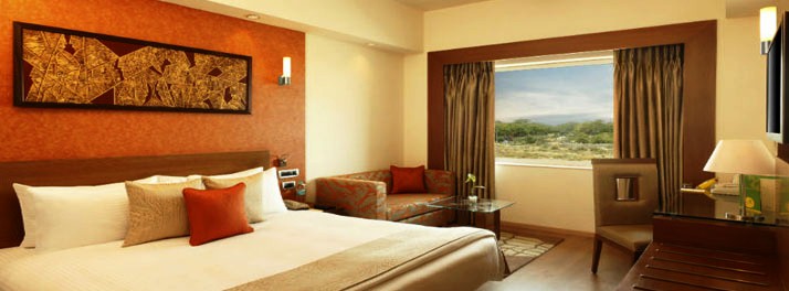 441/Lemon Tree Premier Delhi Airport - New Delhi 08.jpg